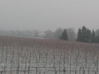 Gästehaus Schumann - Essingen - 5