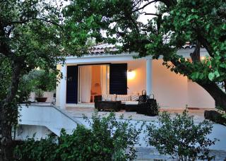 Villa Ftelia - Città di Skiathos - 6