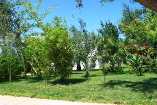 Green Garden Eco-Holiday - 1