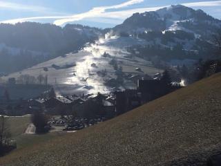 Eggetli - Zweisimmen - 6