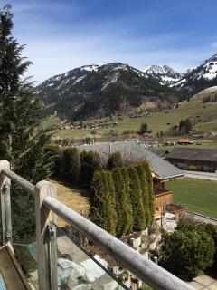 Eggetli - Zweisimmen - 4
