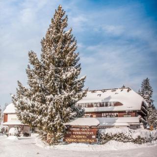 Kaisers Tanne - Premium Alles Inklusive Hotel - Breitnau - 9