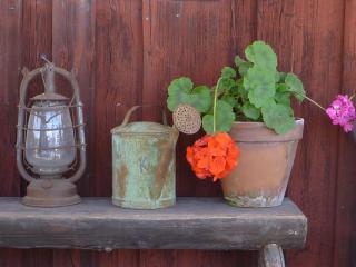 Stall Stråtjära - 5