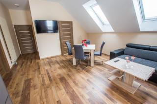 Dwór Skalny Apartamenty, Pokoje i Restauracja Karczma Skalna - Miłków - 4