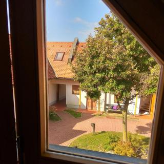 Apartma Marjetica 5 - Moravske Toplice - 4