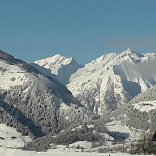Gästehaus Zedlacherhof - 8