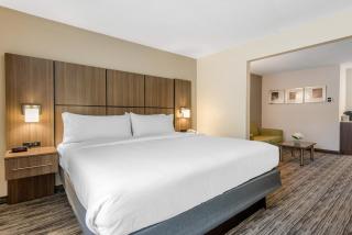 Holiday Inn Melbourne-Viera Conference Ctr by IHG - Melbourne - 4