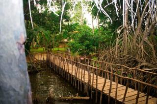 Selnara Private Luxury Villa and Ayurveda Spa - Bentota - 7