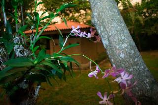 Selnara Private Luxury Villa and Ayurveda Spa - Bentota - 4