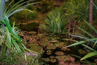 Selnara Private Luxury Villa and Ayurveda Spa - Bentota - 3