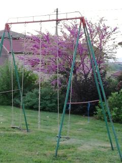 Domaine du Barvy - Odenas - 4