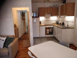 Cosy T2 38m2 - Centre-Ville Dijon- Gare/Darcy - Dijon - 7
