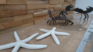 Au gré des marées - Roscoff - 2