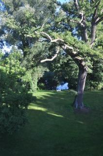 Gartenzimmer im Schloss Neuhausen - Neuhausen - 1