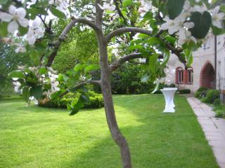 Gartenzimmer im Schloss Neuhausen - Neuhausen - 2