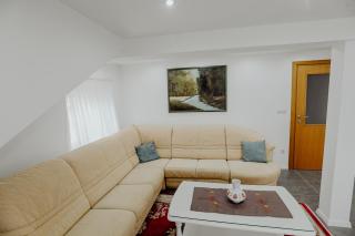Apartman SLAVONIA ĐAKOVO - Ðakovo - 9