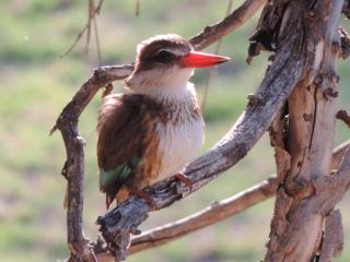 Riverside Guest Lodge - Oudtshoorn - 1