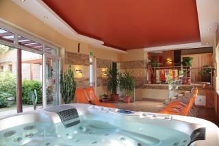 Adler Hotel & Wellness - Tihany - 4