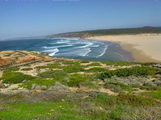 Casa das Palmeiras - Aljezur - 5