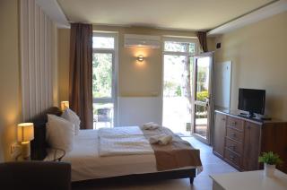 Adler Hotel & Wellness - Tihany - 1