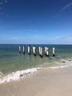 VILLA BELLY in Naples - Naples - 2