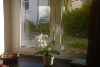 Les Essarts - Spa - 4