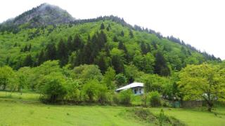 Laia's Guesthouse - 3