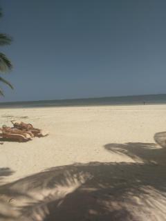 B12 Cowrie Beach Studio Apartment - Bamburi - 7