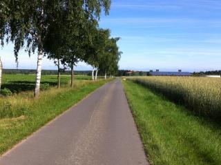 Forsthof - 2