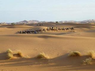 Bivouac Dune Iriki - Foum Zguid - 3