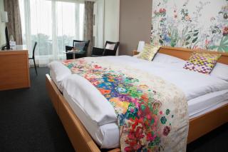 Hotel Heiden - Wellness am Bodensee - Heiden AR - 3