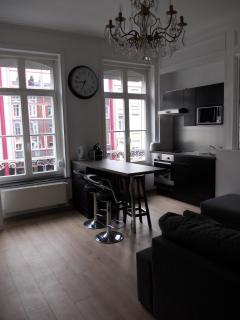 Nationale Appart Hotel - Lille - 6
