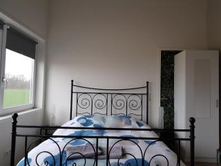 B&B Manege Groenewoude - Woudenberg - 3
