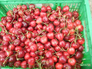 Agriturismo Calderino - 2