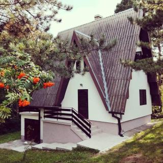 Kuća za odmor Arsenijević - Zlatibor - 3