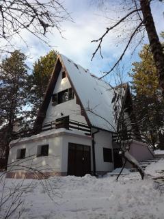 Kuća za odmor Arsenijević - Zlatibor - 8