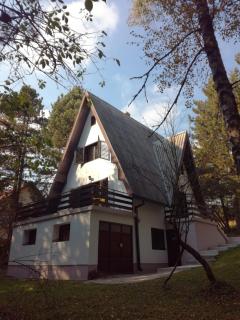 Kuća za odmor Arsenijević - 0