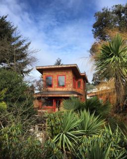 Almabosque Cabañas - Puerto Varas - 2