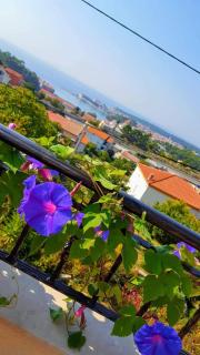 Apartment Aria - Rab - 2