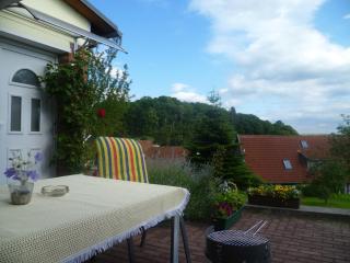 Ferienhaus II Heyder - Elbingerode - 8