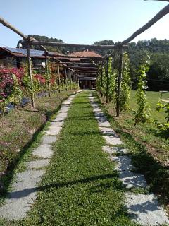 B&B "La baita delle coccinelle" - Varallo - 3
