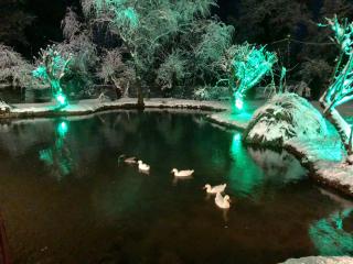 Dipla Sto Potami (Next To The River) - Stathmos Terovou - 6