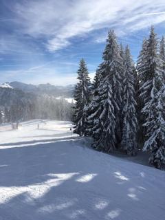 Kendlhof - Sankt Johann im Pongau - 2