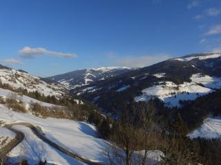 Kendlhof - Sankt Johann im Pongau - 5