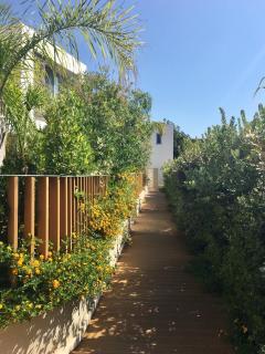 A gem apartment with terrace - 7