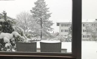 Central Garden-Mountain Apartment - Garmisch-Partenkirchen - 7