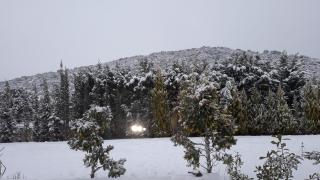 Le Attique - Nea Iraklitsa - 2