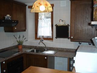 Apartamentos wifi Baqueira & Aigüestortes con jardín privado - Esterri d'Àneu - 1