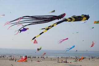 Le Grand Large - Berck-sur-Mer - 1