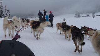 HOTEL Auberge du grand Git - 1